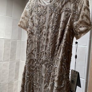 adrianna papell long beaded dress